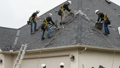 Storm damage cleanup crew clearing fallen trees in Allen, TX for Arbor Tree Care