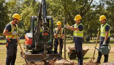 Tree planting service in Allen, TX for healthy, long-lasting growth